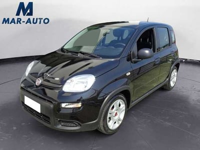 Fiat Panda 1.0 FireFly S&amp;S Hybrid City Cross del 2023 usata a Castelfranco Veneto