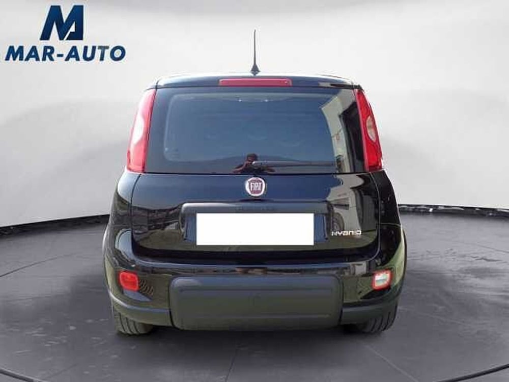 Fiat Panda usata a Treviso (17)