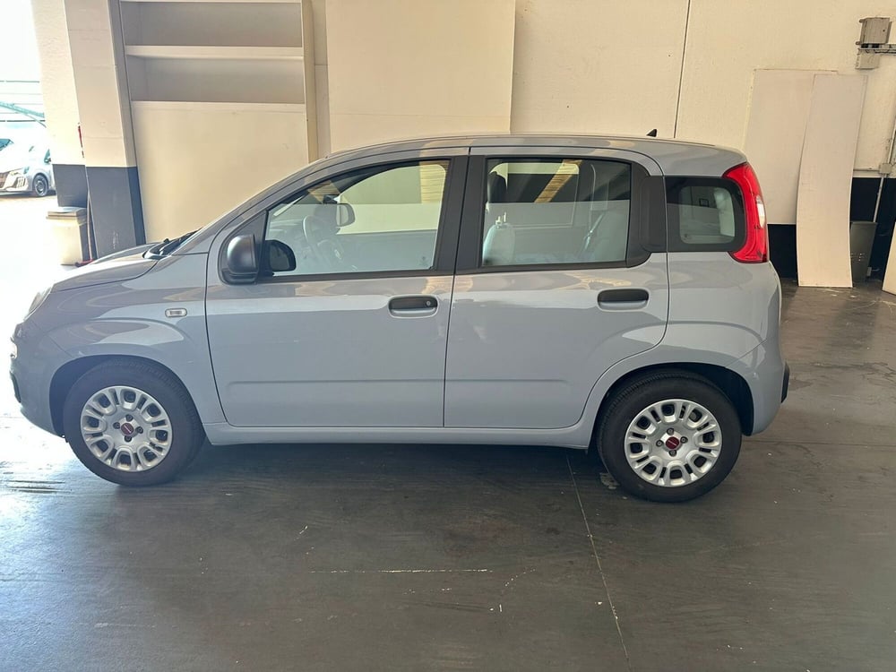 Fiat Panda Cross usata a Milano (4)