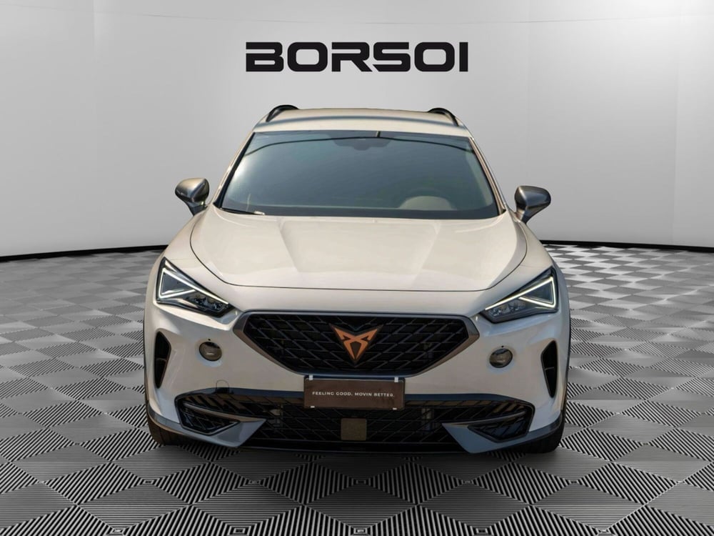 Cupra Formentor usata a Treviso (8)