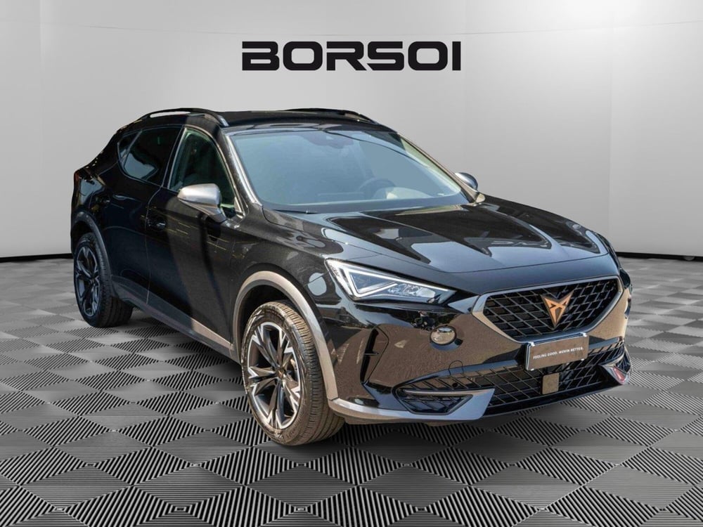 Cupra Formentor usata a Treviso (7)
