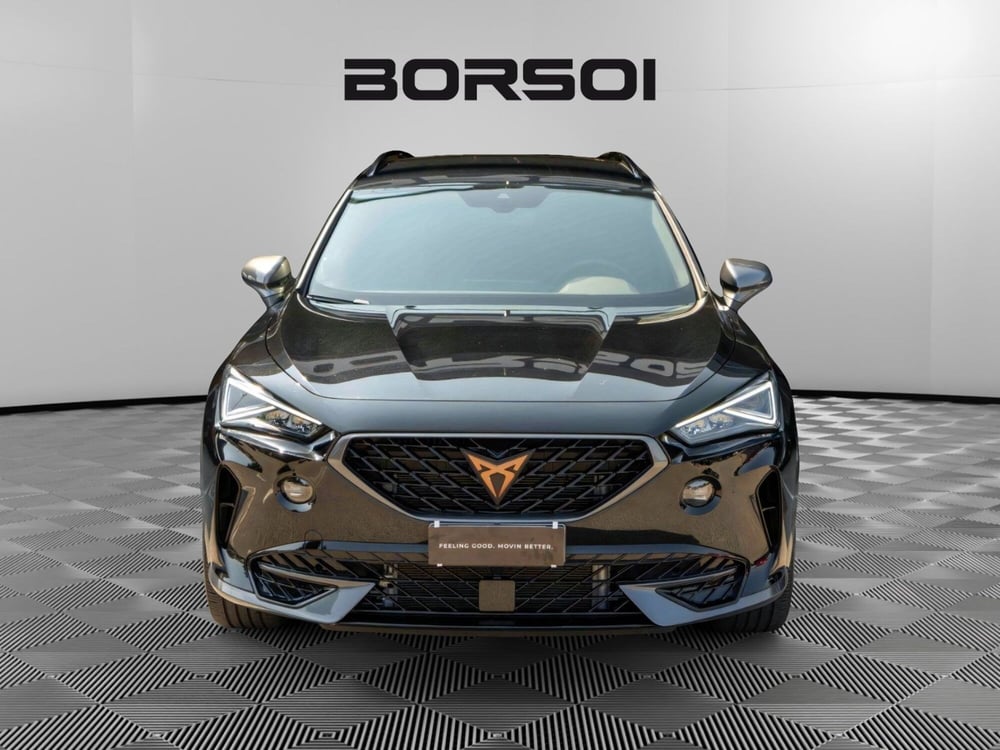 Cupra Formentor usata a Treviso (8)