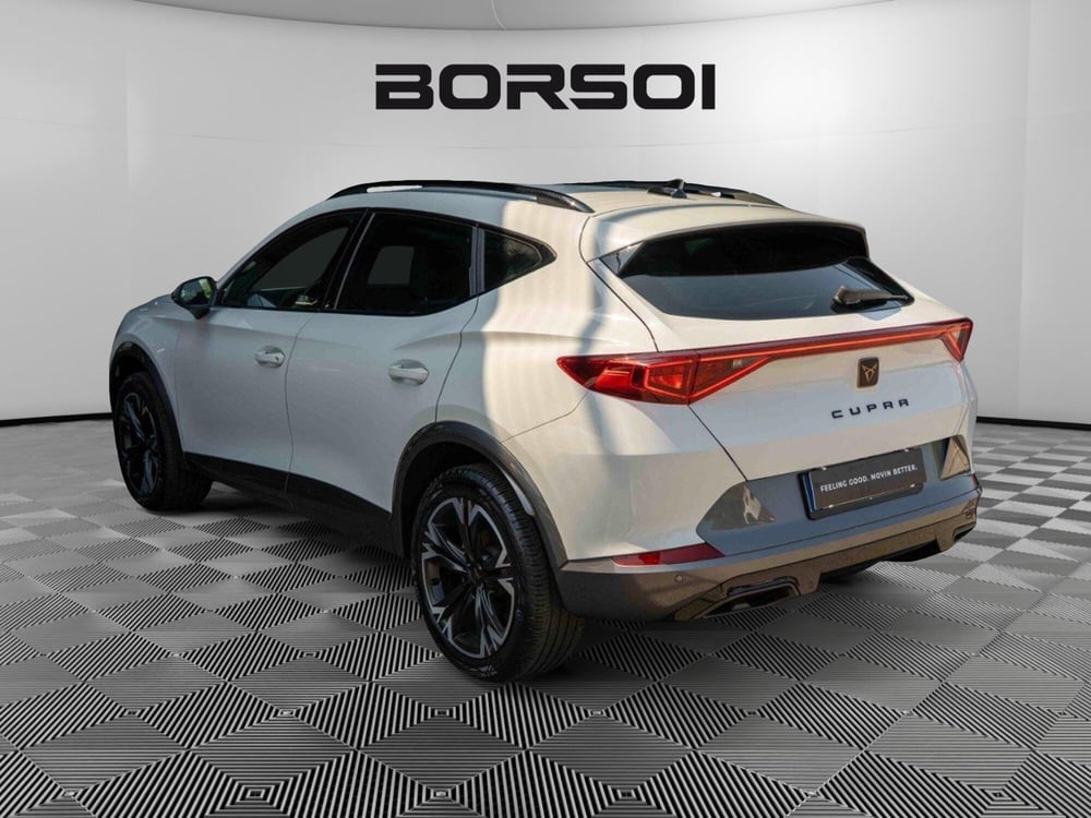 Cupra Formentor usata a Treviso (3)