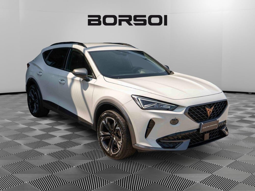 Cupra Formentor usata a Treviso (7)