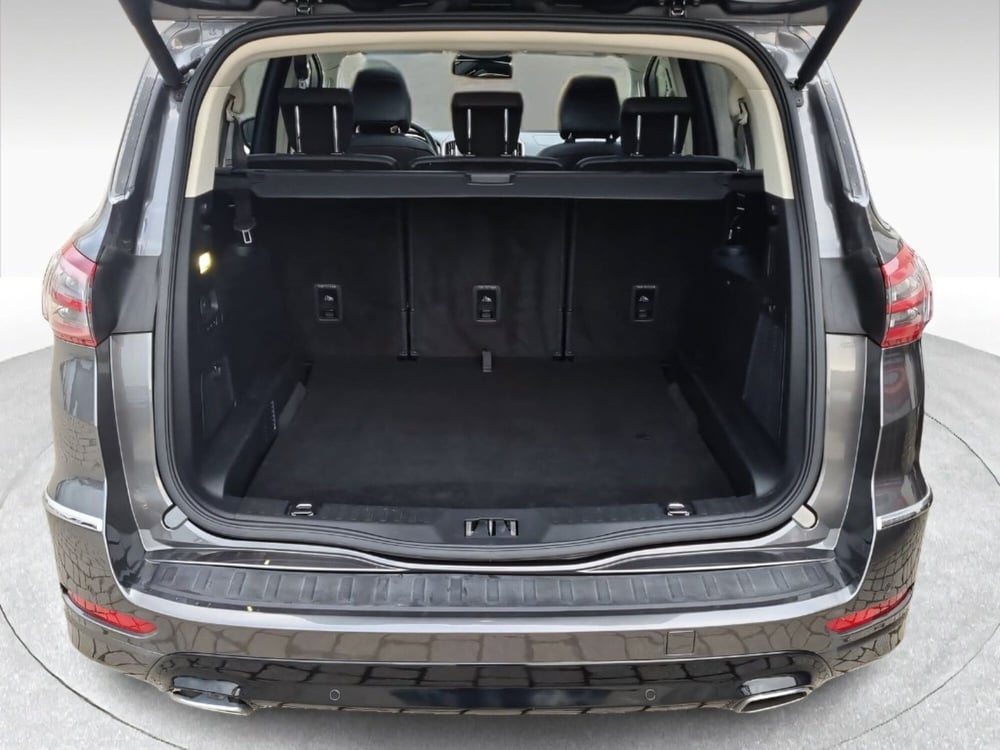 Ford S-Max usata a Siena (16)
