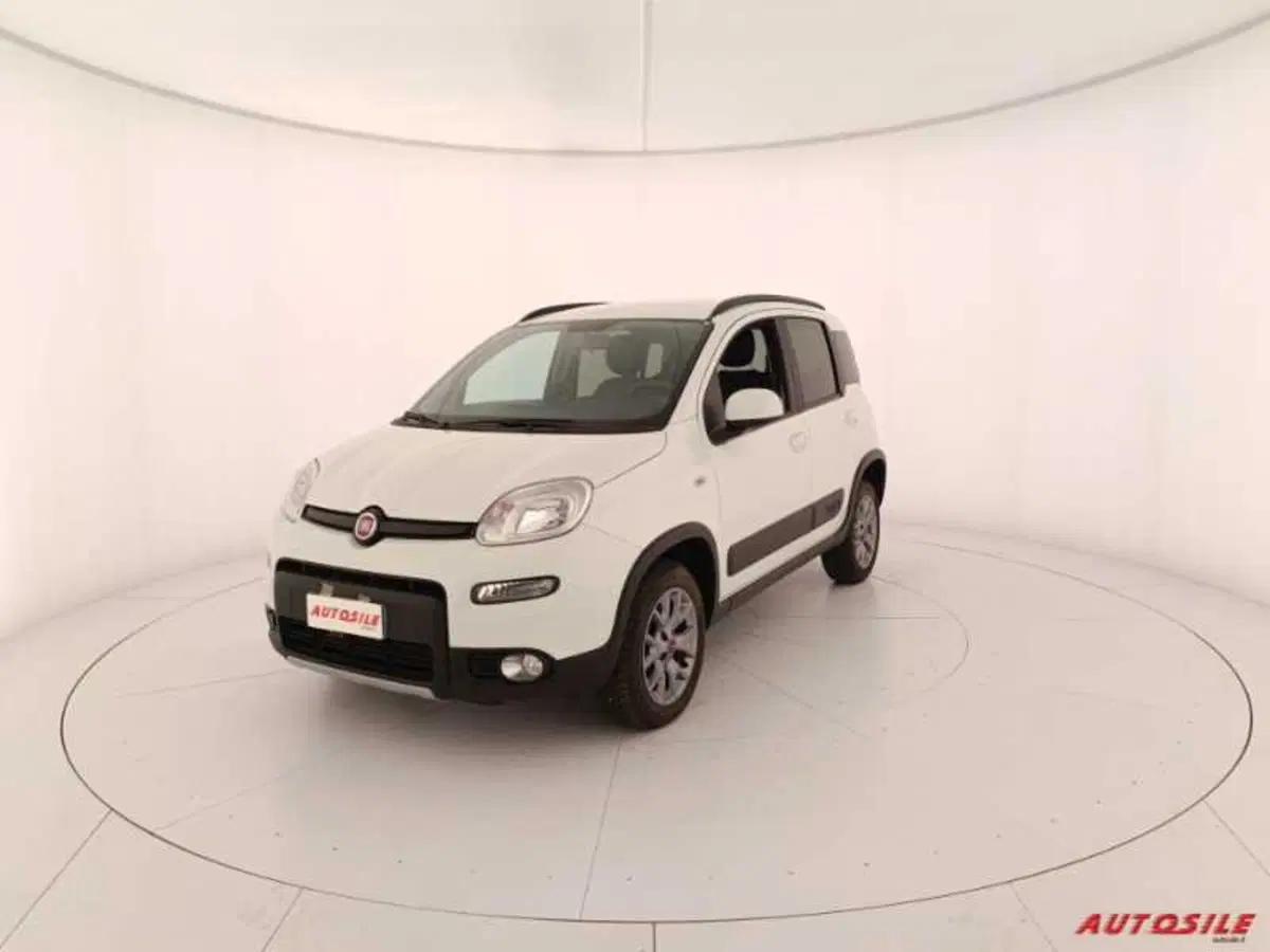 Fiat Panda usata a Treviso