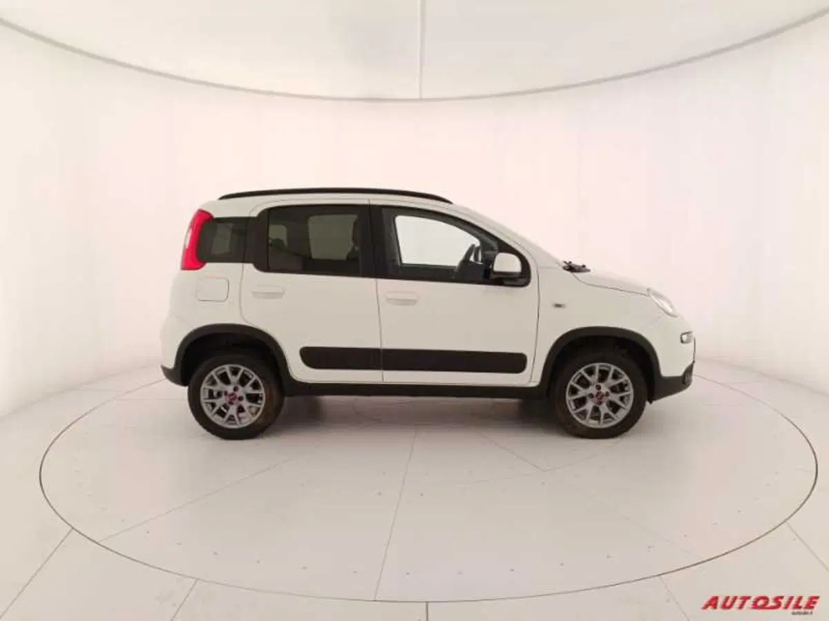 Fiat Panda usata a Treviso (7)