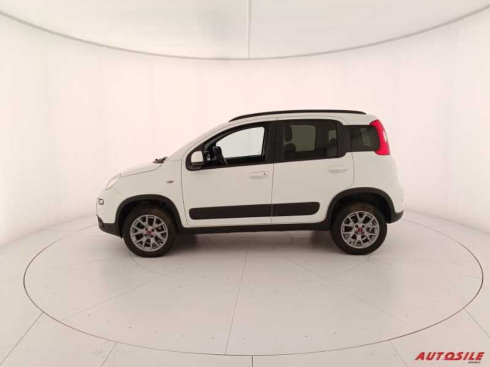Fiat Panda usata a Treviso (8)