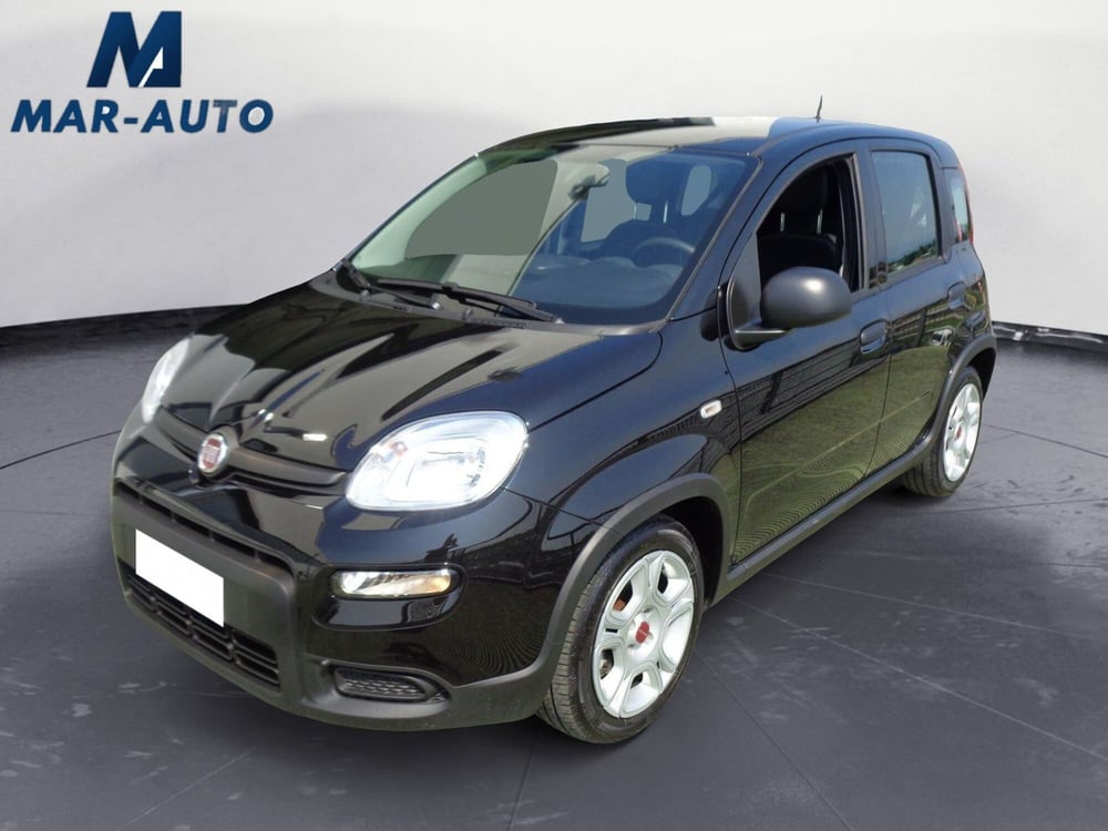Fiat Panda usata a Treviso