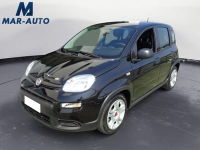 Fiat Panda 1.0 FireFly S&amp;S Hybrid City Cross del 2023 usata a Castelfranco Veneto