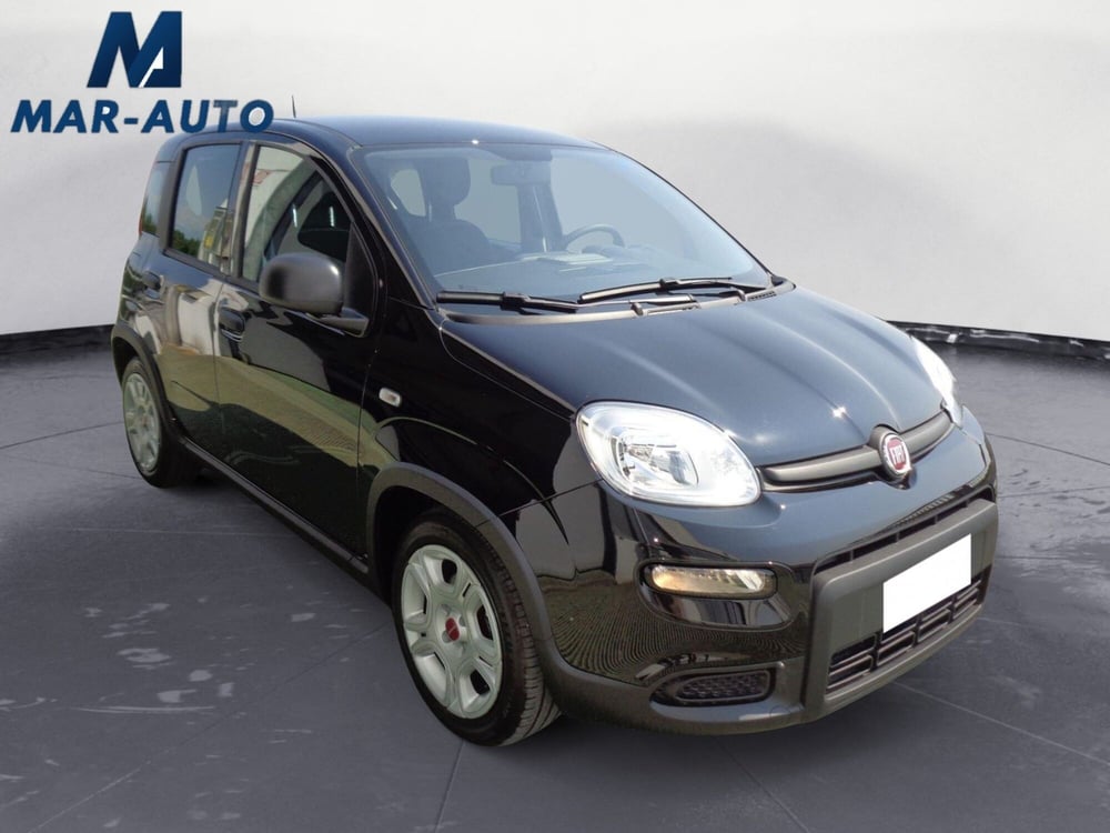 Fiat Panda usata a Treviso (4)