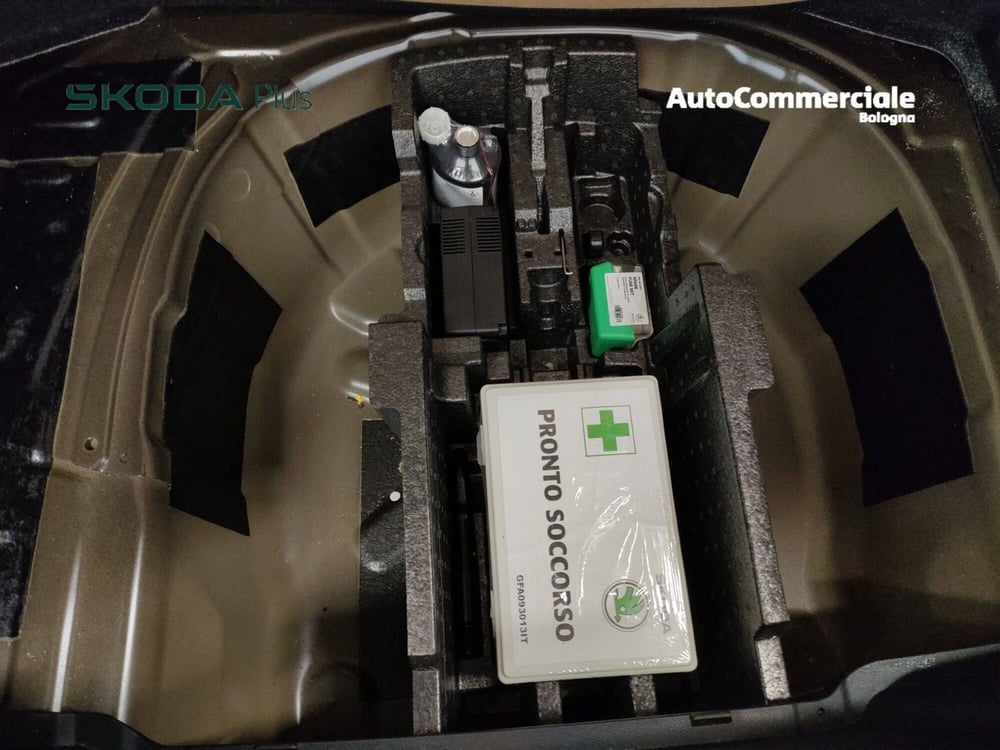 Skoda Kamiq usata a Bologna (19)