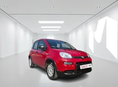 Fiat Panda Cross Cross 1.0 FireFly S&amp;S Hybrid del 2025 usata a Latina