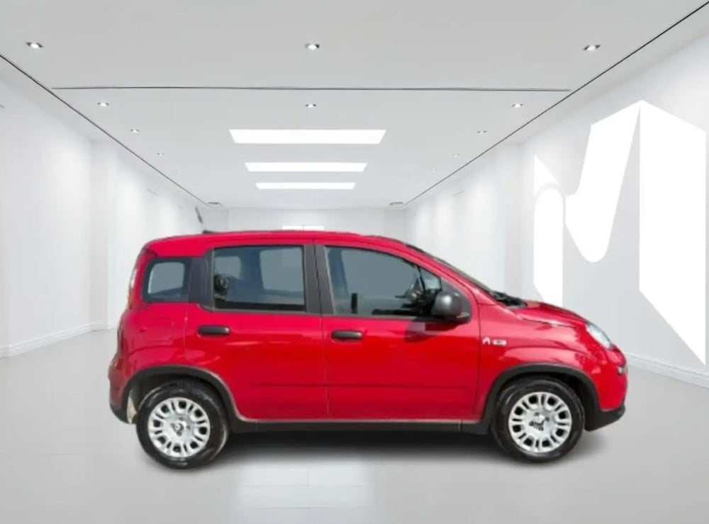 Fiat Panda Cross usata a Latina (2)