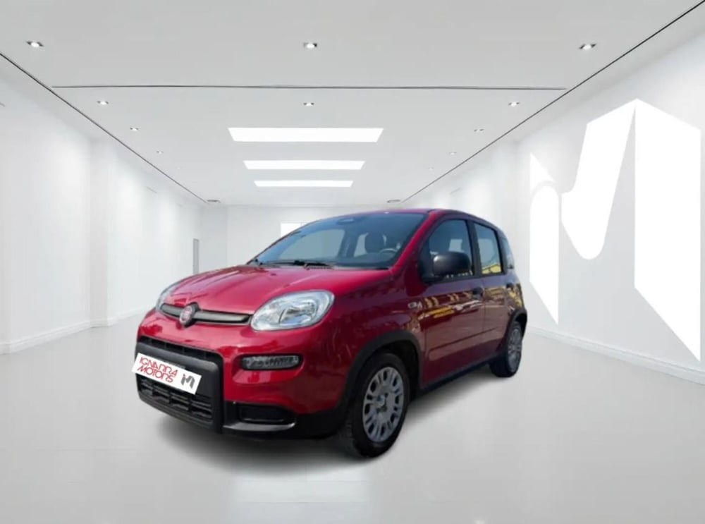 Fiat Panda Cross usata a Latina (4)