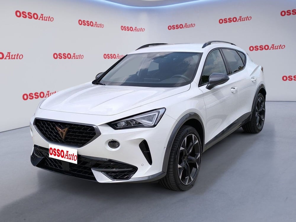 Cupra Formentor usata a Udine