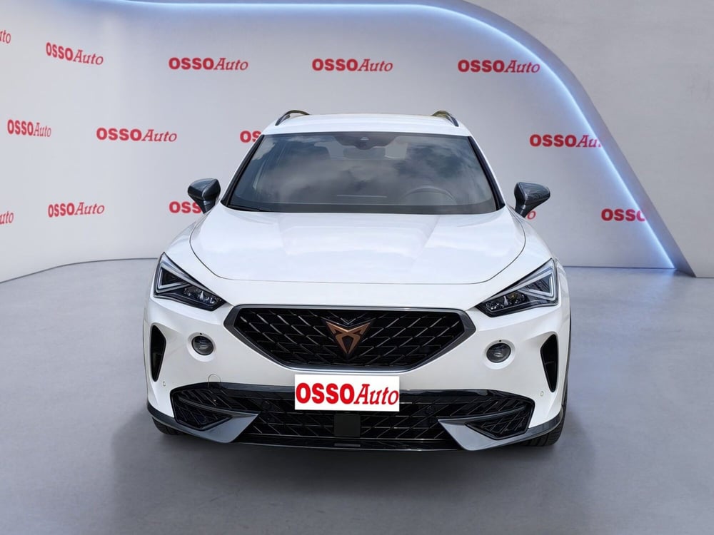 Cupra Formentor usata a Udine (5)