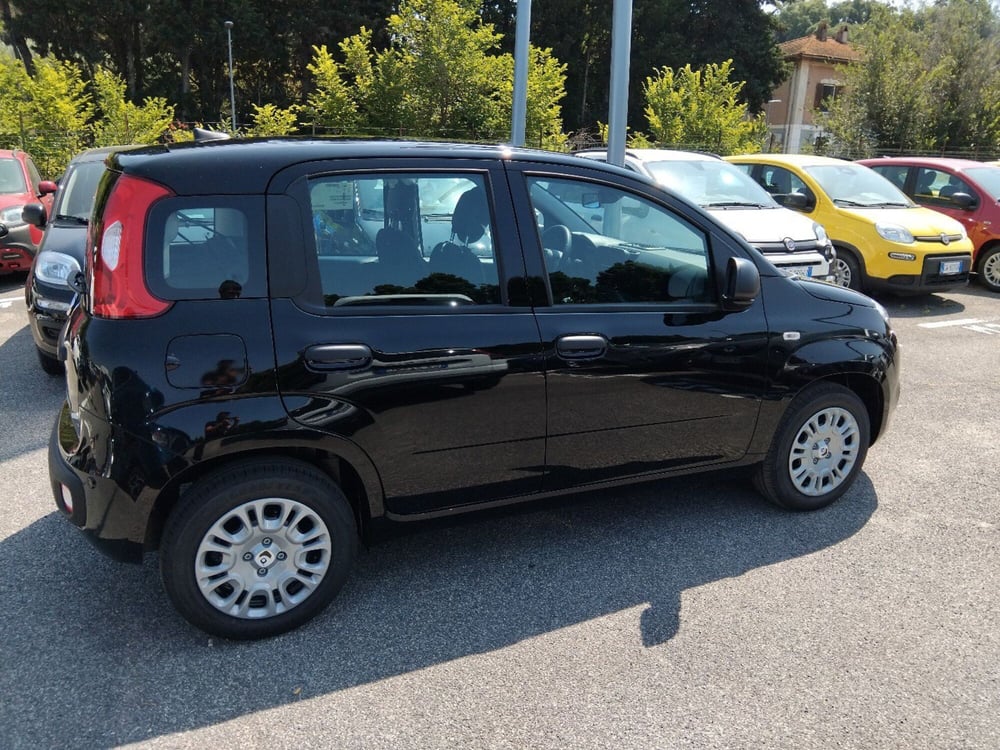 Fiat Panda nuova a Roma (6)