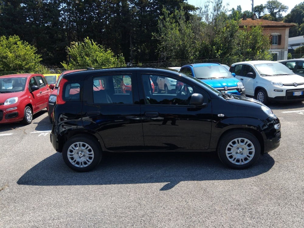 Fiat Panda nuova a Roma (6)