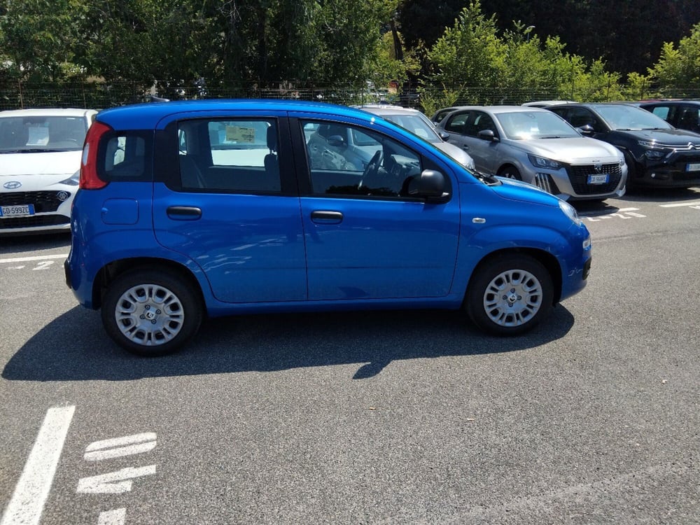 Fiat Panda nuova a Roma (6)