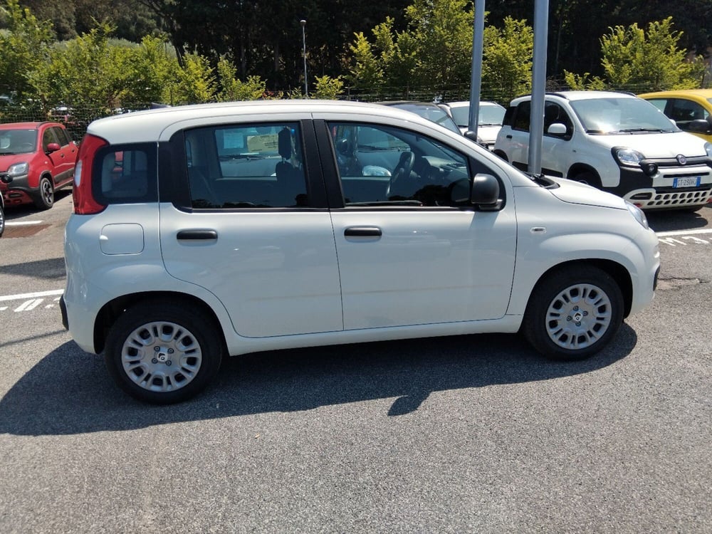 Fiat Panda nuova a Roma (6)