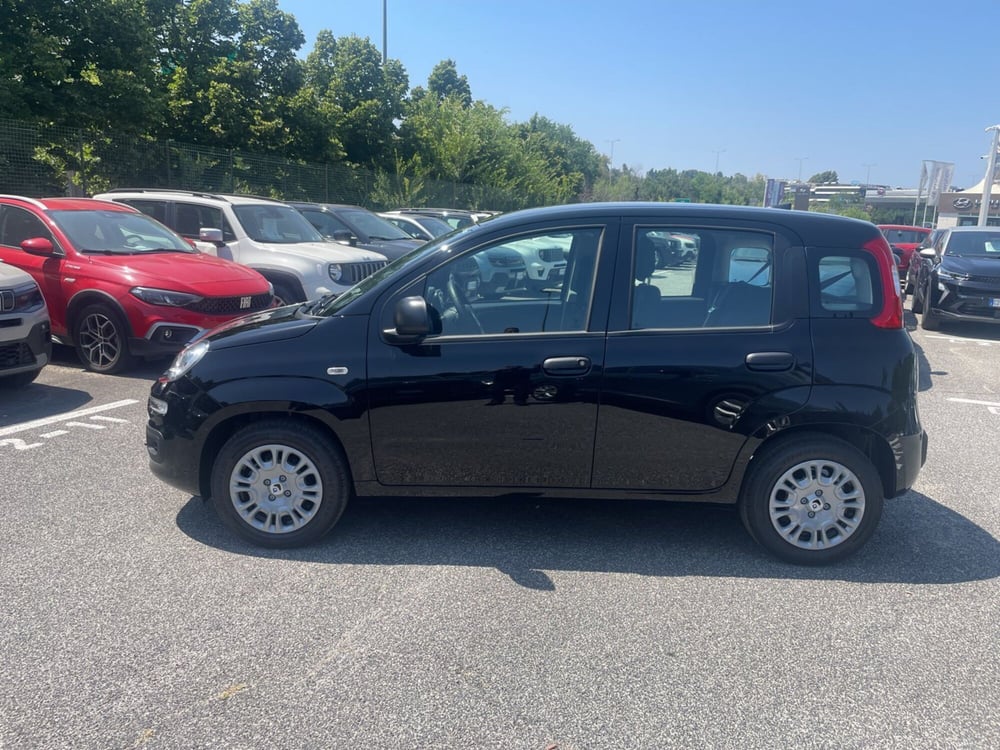 Fiat Panda nuova a Roma (7)