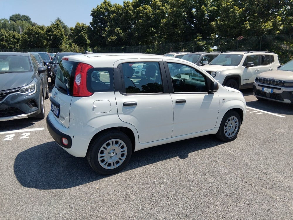 Fiat Panda nuova a Roma (6)