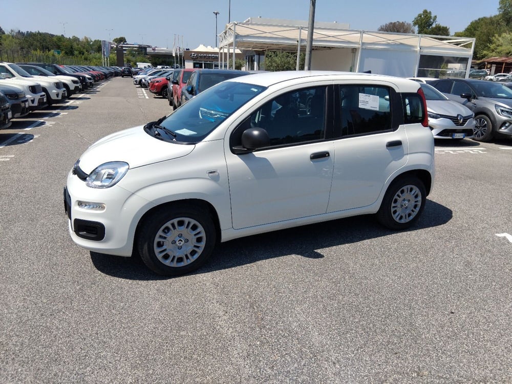 Fiat Panda nuova a Roma (8)