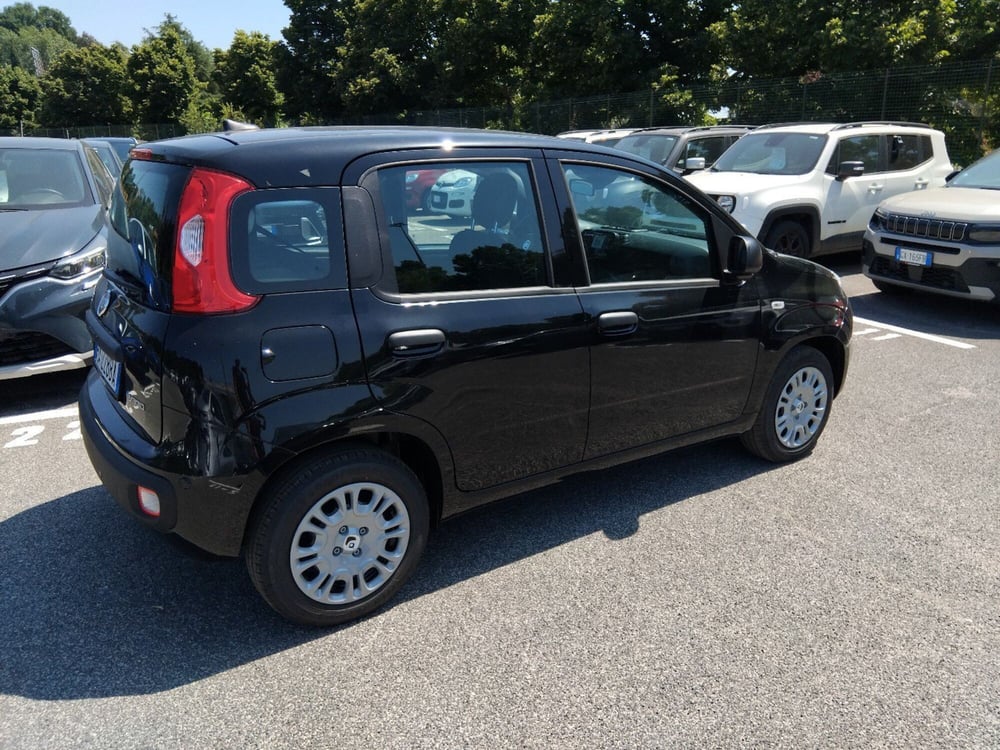 Fiat Panda nuova a Roma (6)