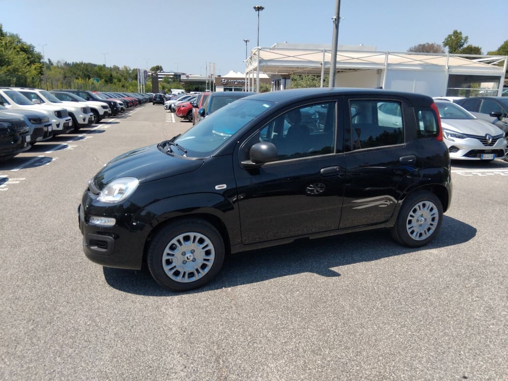 Fiat Panda nuova a Roma (8)