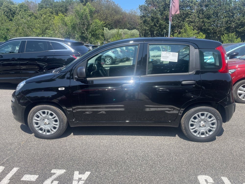 Fiat Panda nuova a Roma (7)