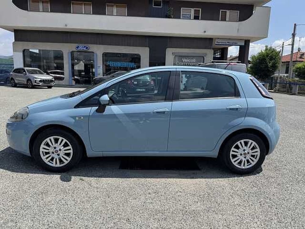 Fiat Punto usata a Torino (2)