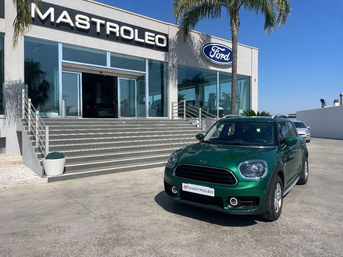MINI Mini Countryman usata a Lecce (2)