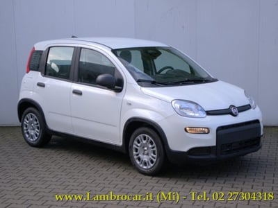 Fiat Panda 1.0 firefly hybrid s&amp;s 70cv 5p.ti nuova a Cologno Monzese