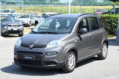 Fiat Panda 1.0 firefly hybrid s&amp;s 70cv 5p.ti del 2023 usata a Pianezza