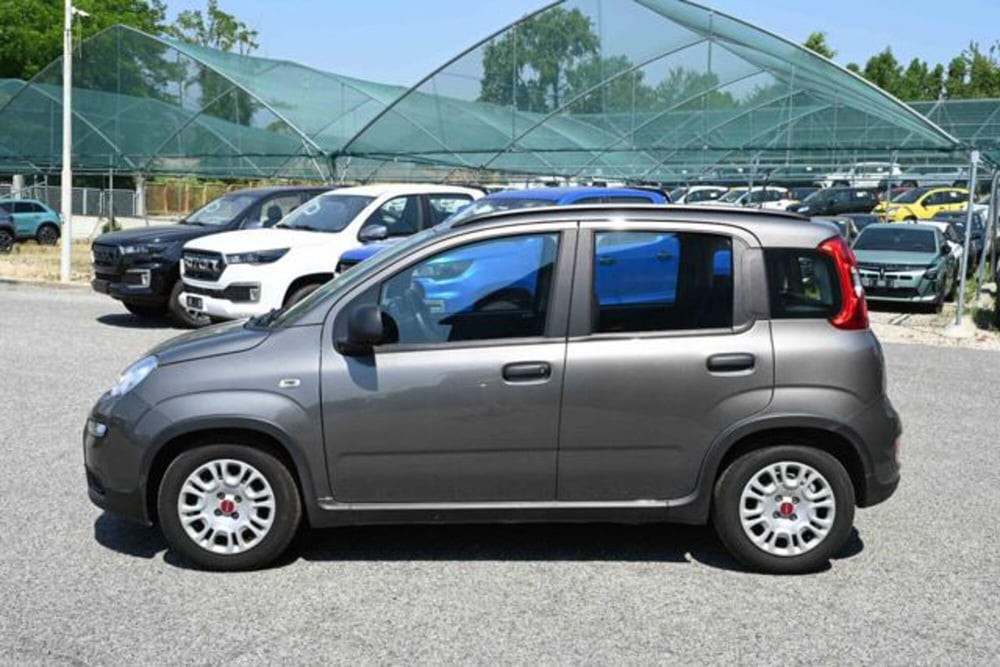 Fiat Panda usata a Torino (8)
