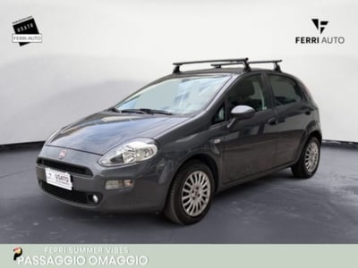 Fiat Punto 1.2 8V 5 porte Street del 2016 usata a Villorba