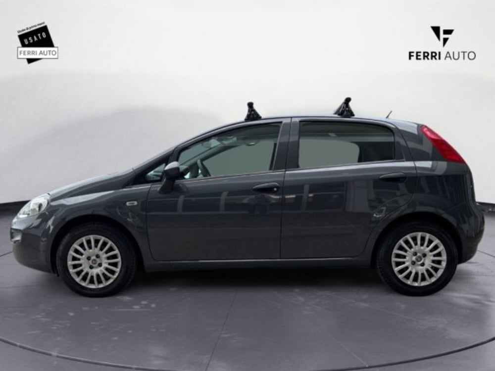 Fiat Punto usata a Treviso (3)