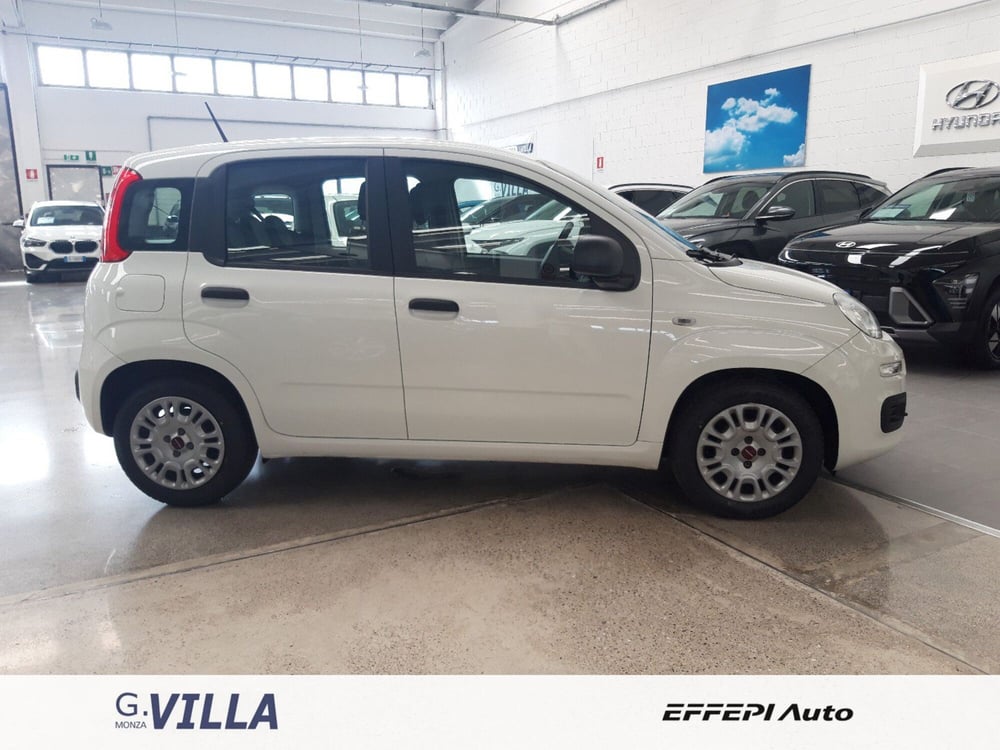 Fiat Panda usata a Monza e Brianza (4)