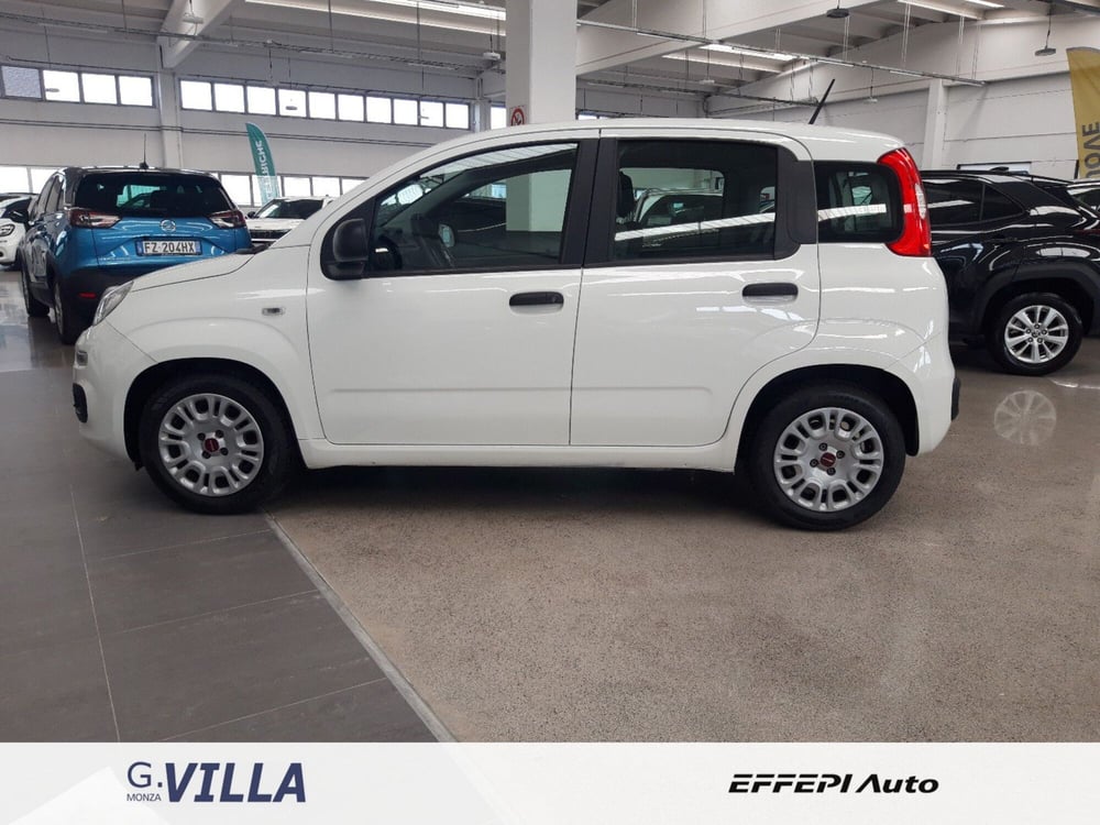 Fiat Panda usata a Monza e Brianza (8)