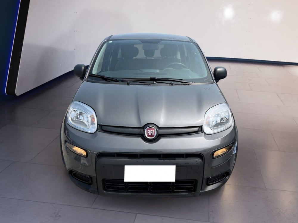 Fiat Panda usata a Torino