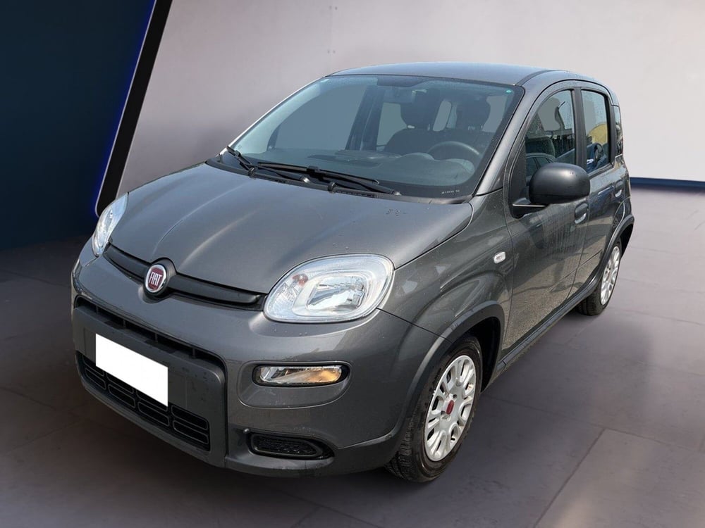 Fiat Panda usata a Torino (2)