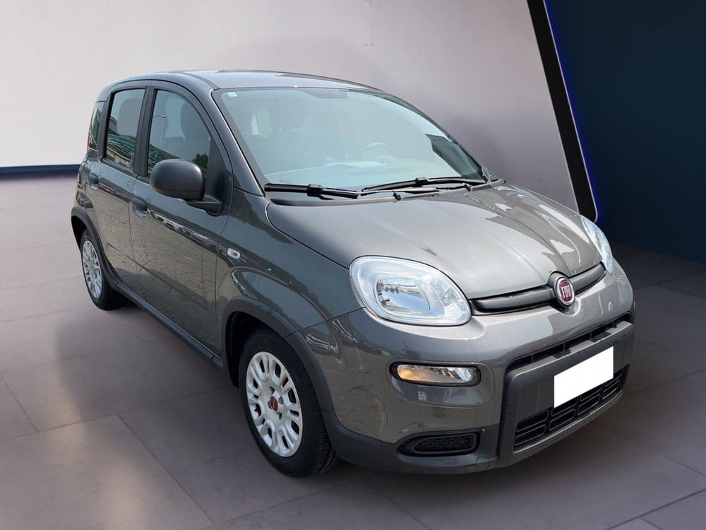 Fiat Panda usata a Torino (3)