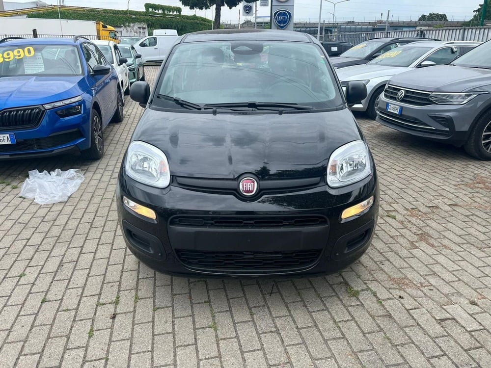Fiat Panda Cross nuova a Milano (2)