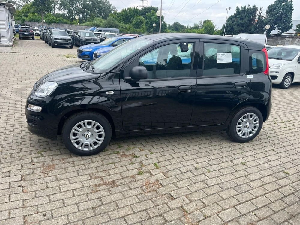 Fiat Panda Cross nuova a Milano (4)
