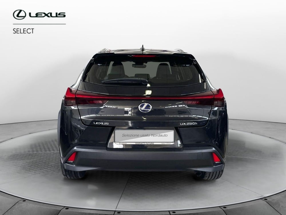 Lexus UX usata a Treviso (6)
