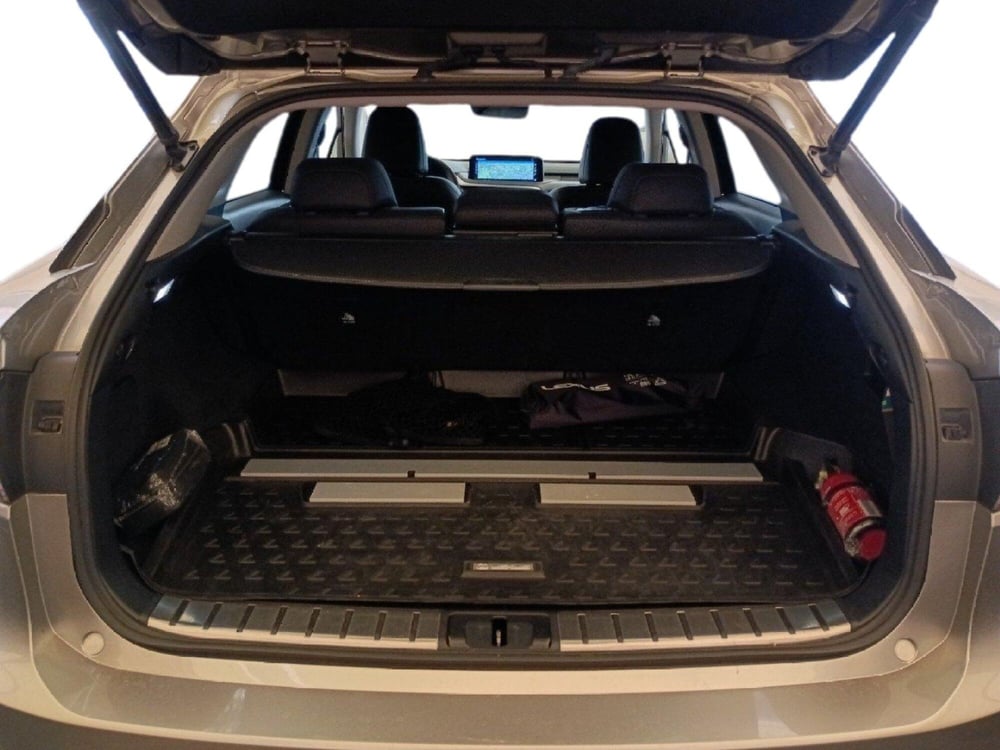Lexus RX usata a Milano (12)