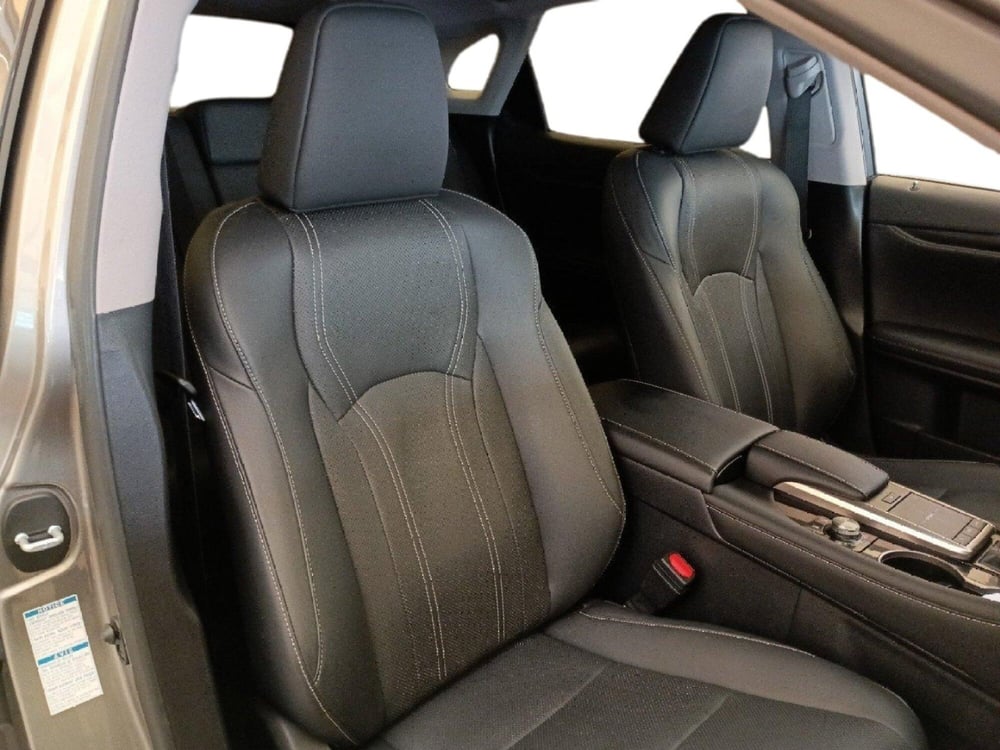 Lexus RX usata a Milano (7)