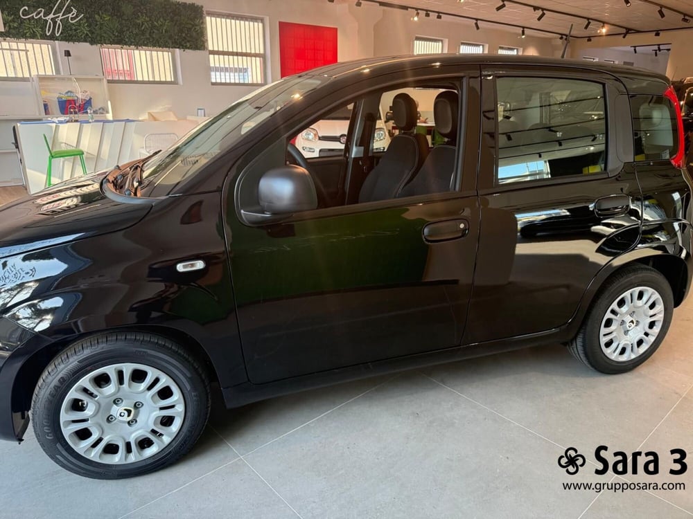 Fiat Panda Cross nuova a Benevento (2)