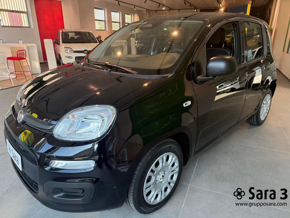 Fiat Panda Cross nuova a Benevento (4)